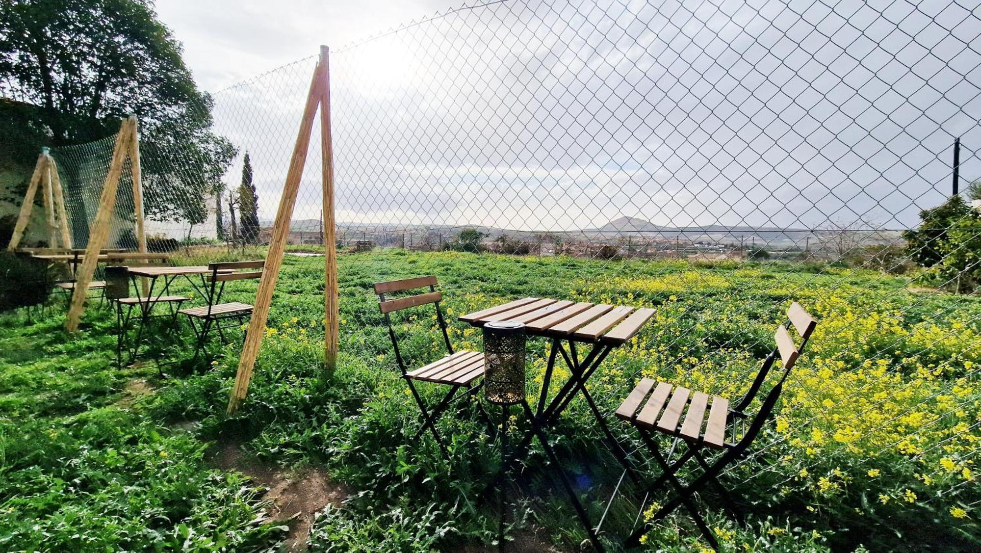 Appartamento Aa Guest - Mulhacen Del Jardin Sierra Nevada Alhendín Esterno foto
